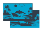 ACM Dolphin Cove (Aqua/Grey Mat)